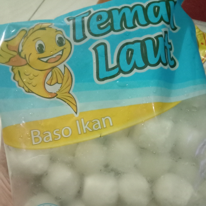 Baso Ikan Teman Laut