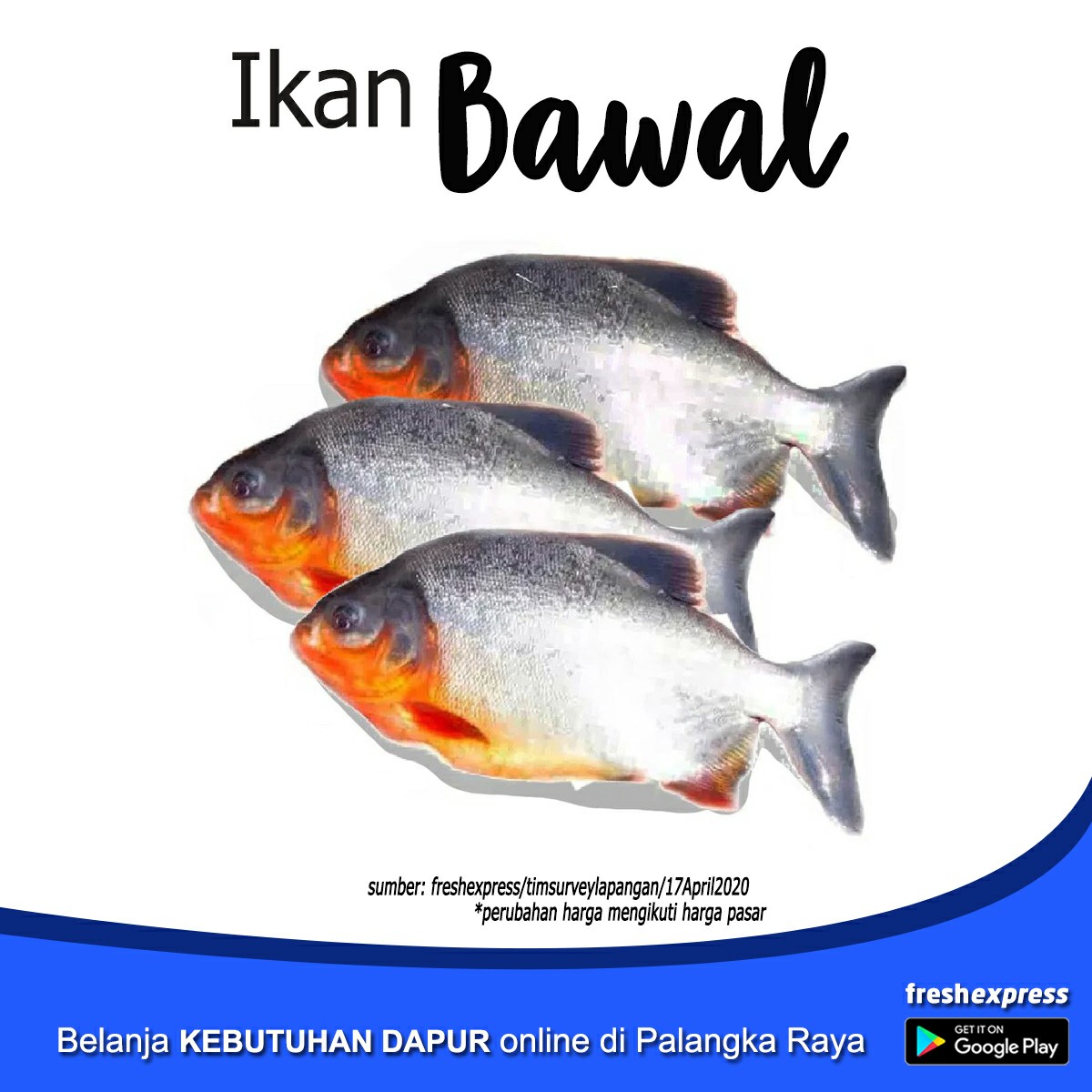 Bawal Tawar 1kg