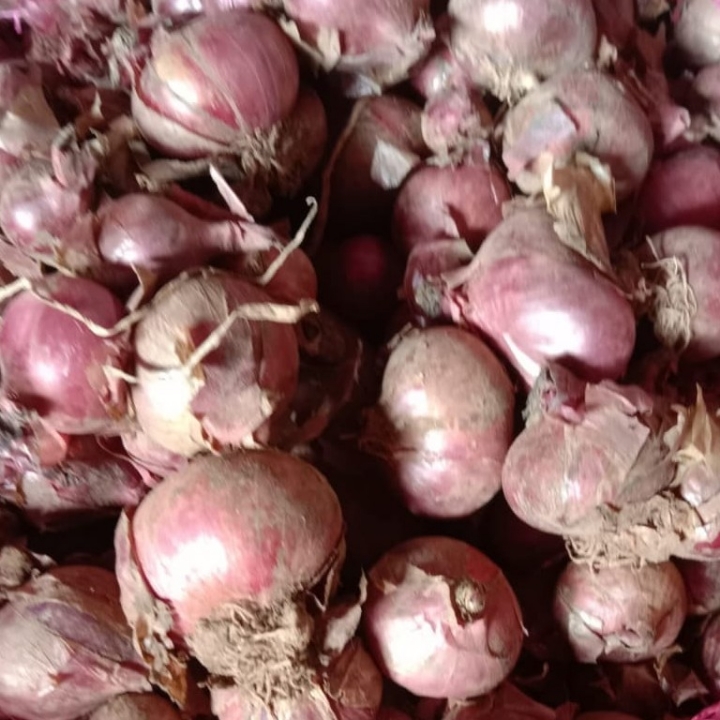 Bawang Merah  Bahan Bombay Dan Bawang Putih  3