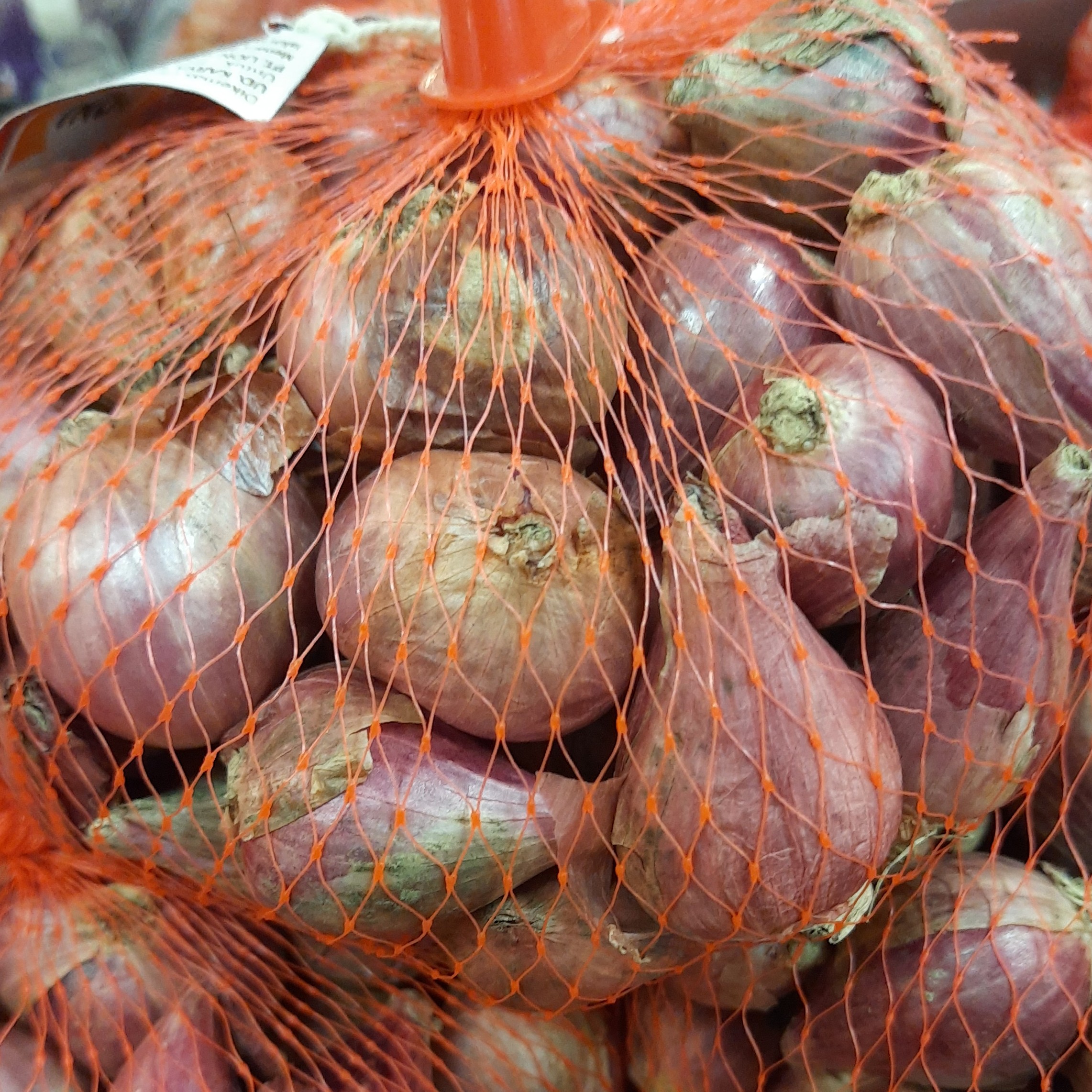 Bawang Merah