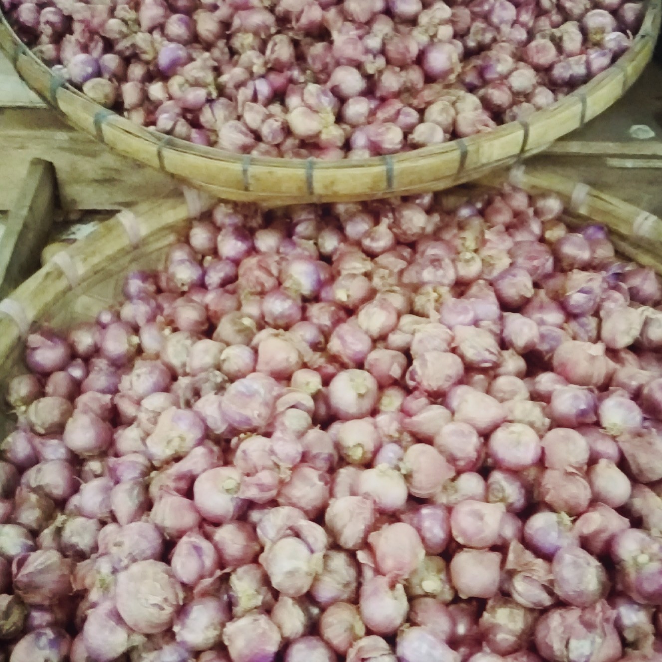 Bawang Merah