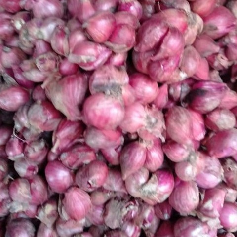 Bawang Merah