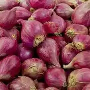 Bawang Merah