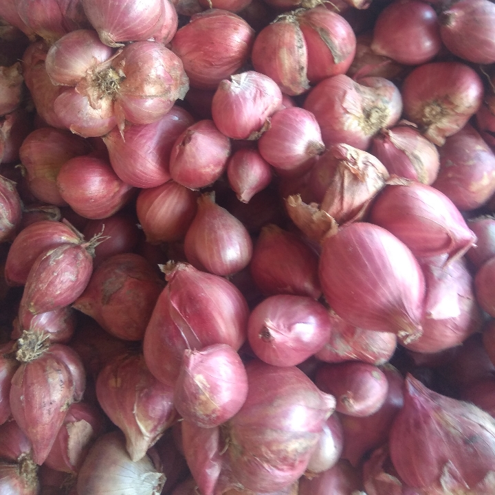 Bawang Merah