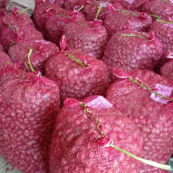 Bawang Merah 2