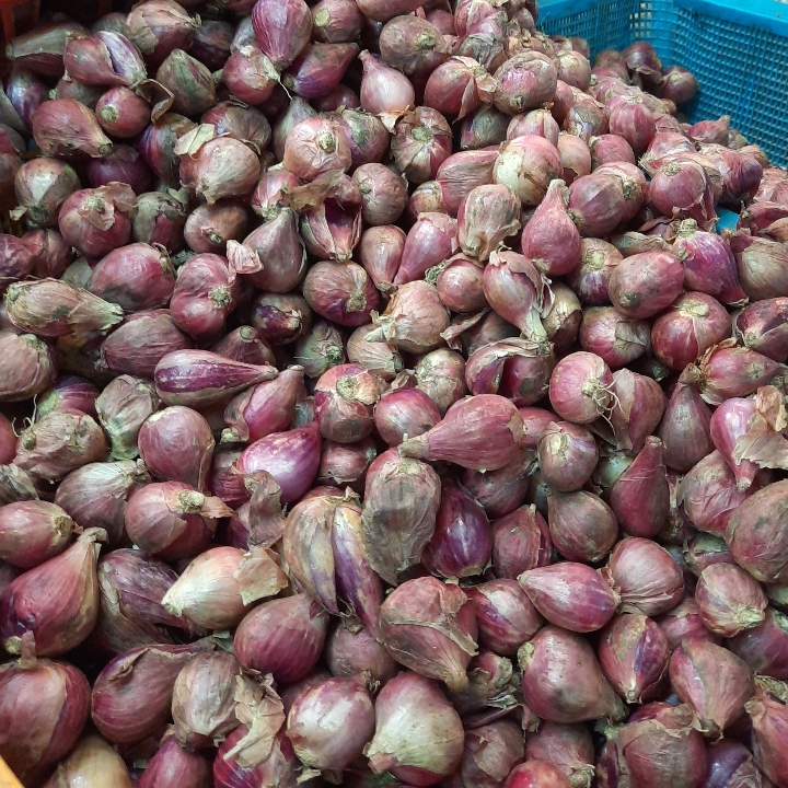 Bawang Merah Brebes Super