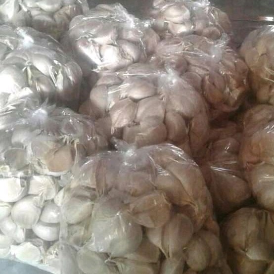 Bawang Putih Murah