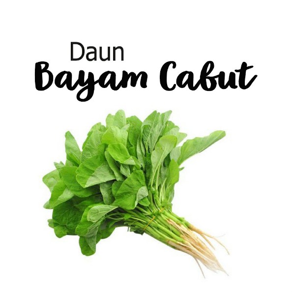 Bayam Cabut 1 Kg