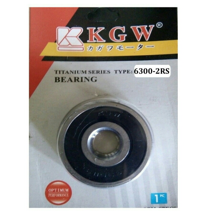 Bearing 6300