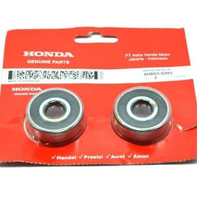 Bearing Set Roda Belakang 6302