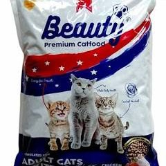 Beauty Kitten Adult