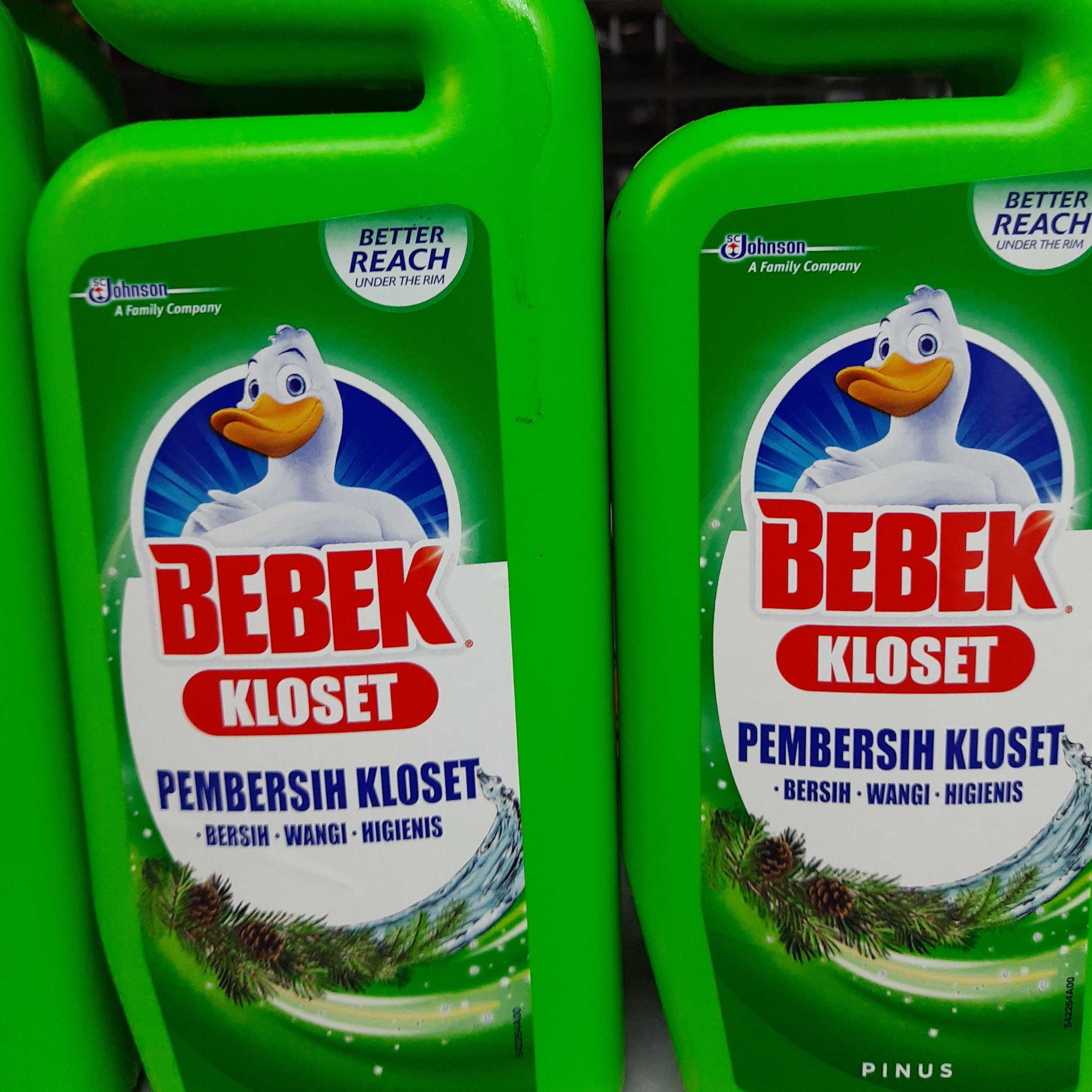 Bebek Kloset