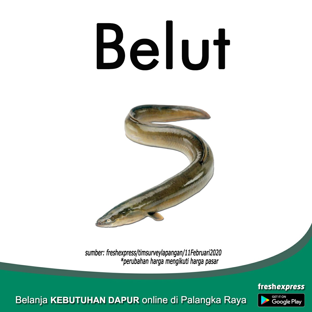 Belut 500 Gram