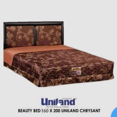 Beuty Bed paradise sand Chrysant Uk 160