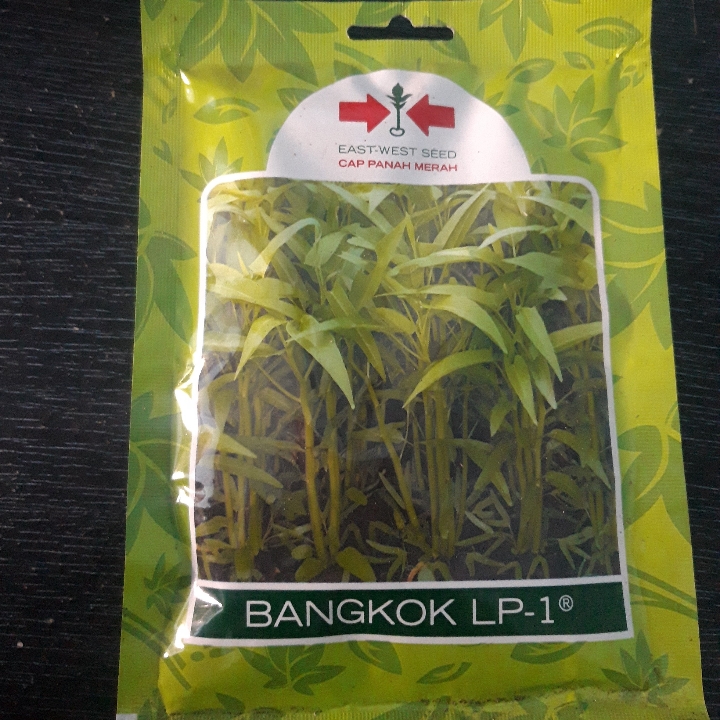 Bibit Kangkung