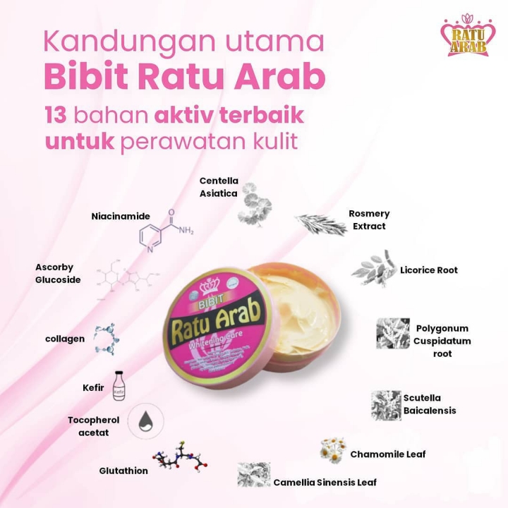 Bibit Ratu Arab