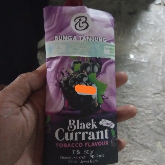 Black Currant