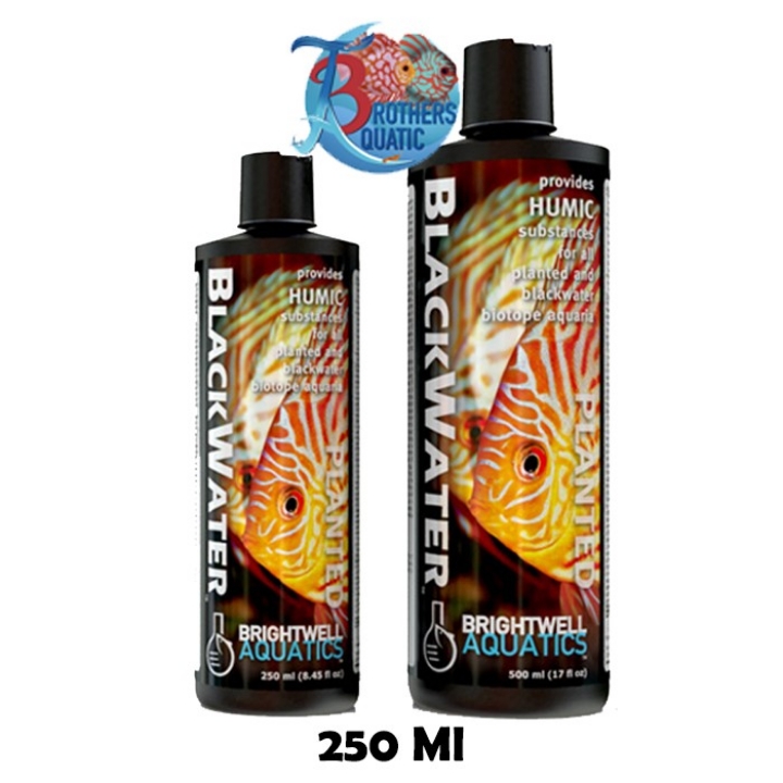 Black Water Brightwell Aquatics 