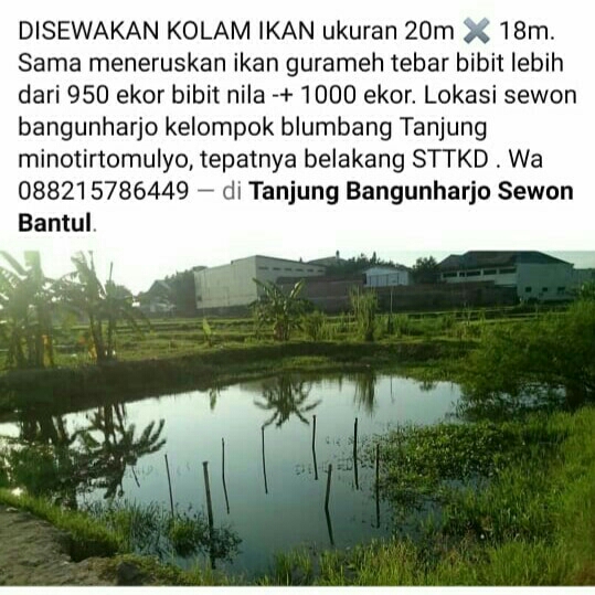 Blumbang Ikan 3