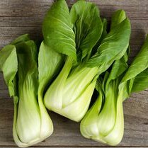 Bok Choy