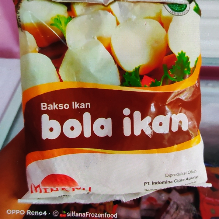 Bola Ikan