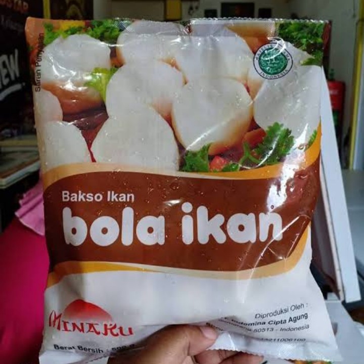 Bola Ikan