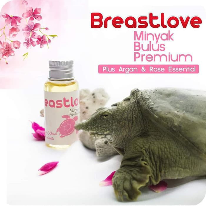 Breastlove Minyak Bulus 2