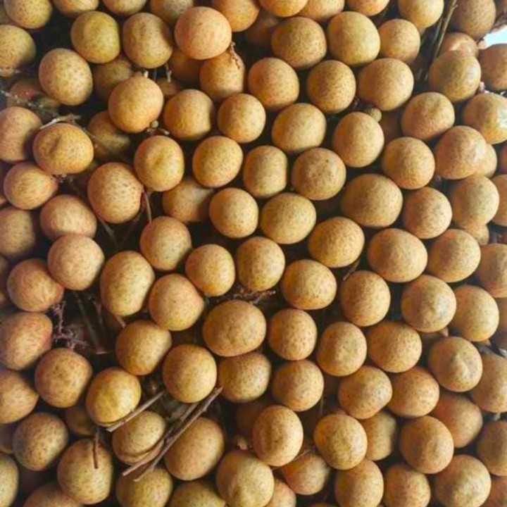 Buah Lengkeng