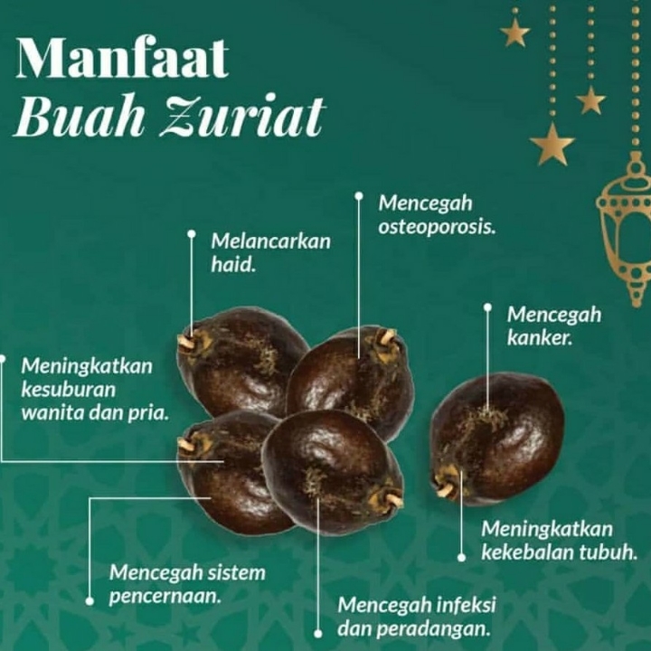 Buah Zurriat perBuah 2