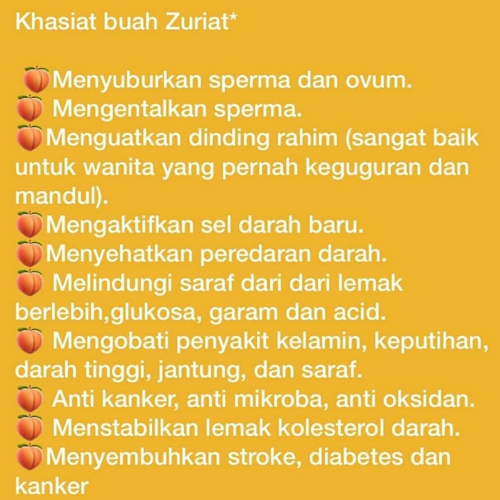 Buah Zurriat perBuah 3