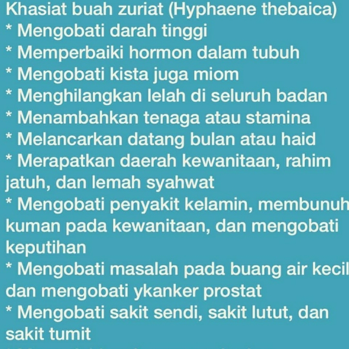 Buah Zurriat perBuah 4