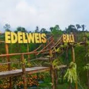 Bukit Edelweis 3