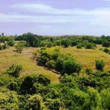 Bukit Teletubbies | BALIbecik