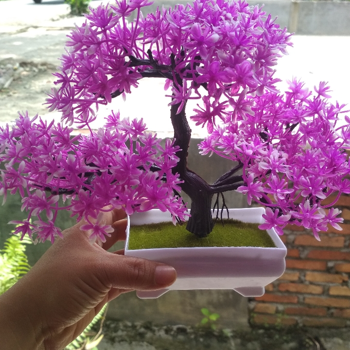 Bunga Hias Bonsai 