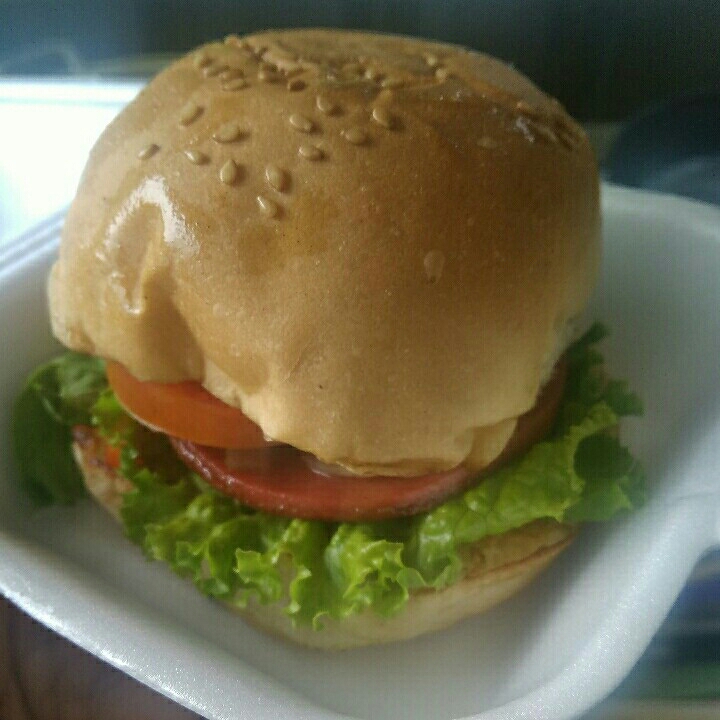 Burger Biasa