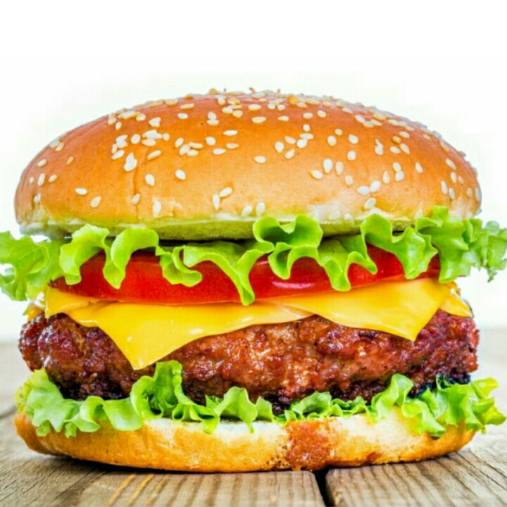 Burger Biasa