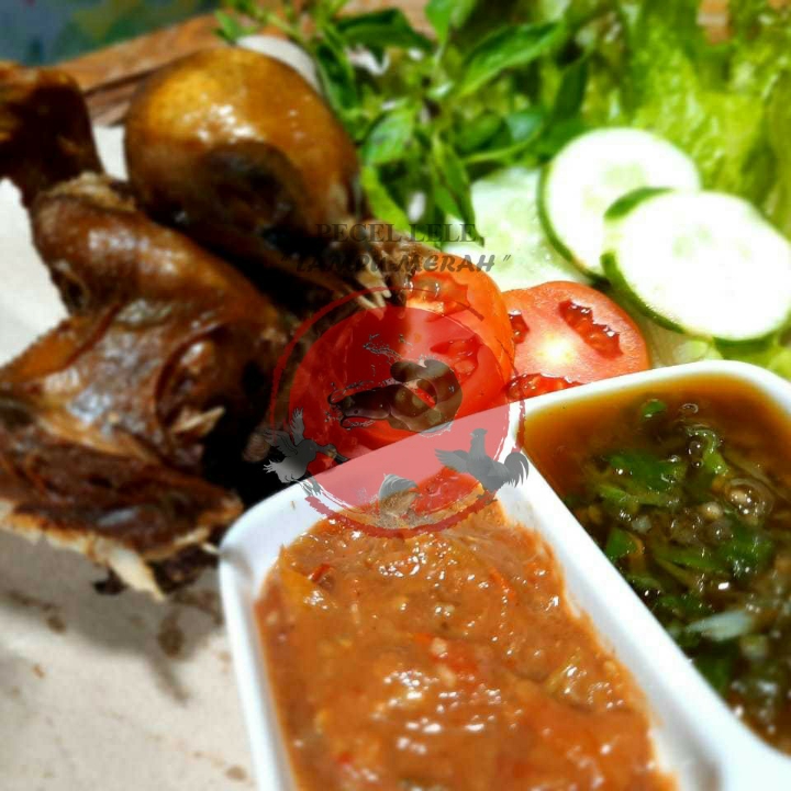 Burung Dara Goreng