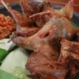 Burung Goreng Biasa