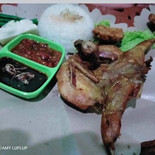 Burung Puyuh Nasi