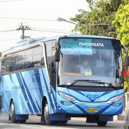 Bus Pariwisata 30 - 35 Seat