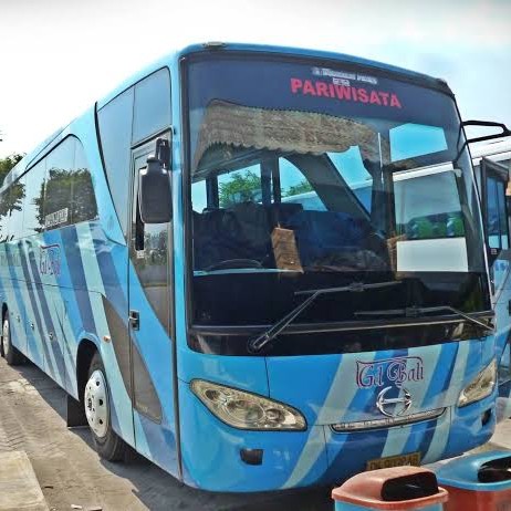 Bus Pariwisata 47 Seat