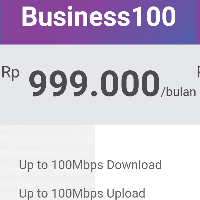 Business 100 Mbps