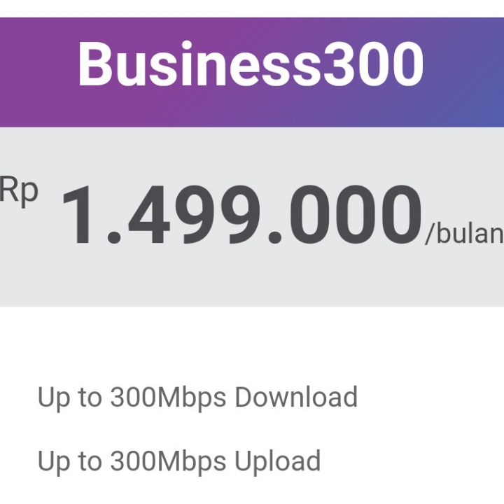 Business 300 Mbps