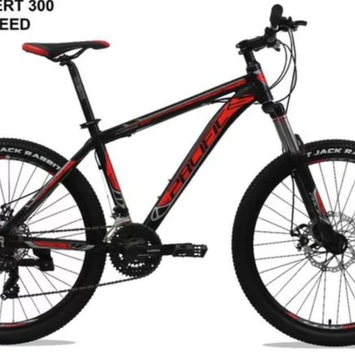 C10-SEPEDA MTB PACIFIC 26 INVERT 300 2