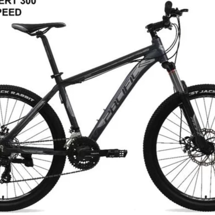 C10-SEPEDA MTB PACIFIC 26 INVERT 300 3