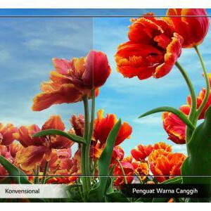 C3-TV LED LG 32 INCH 32LM550 MERK LG PER UNIT 3