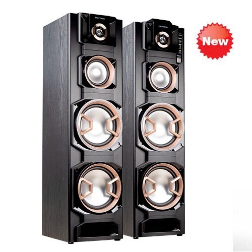 C6-- SPEAKER AKTIF POLYTRON PAS 8E28 MERK  PER UNIT 2