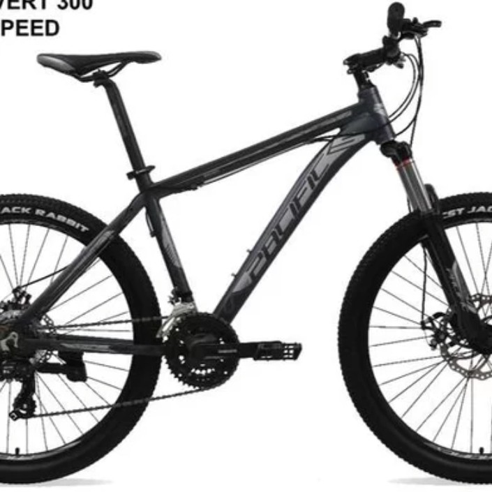 C6-SEPEDA MTB PACIFIC 26 INVERT 300 3