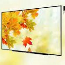 C6-TV 32 INCH AQUOS LED LC-32LE185I-WH MERK SHARP PER UNIT