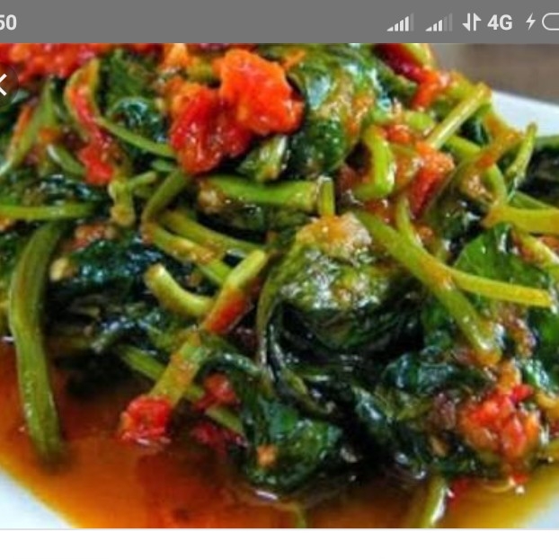 CAH KANGKUNG 